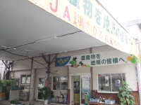 P8181589.JPG